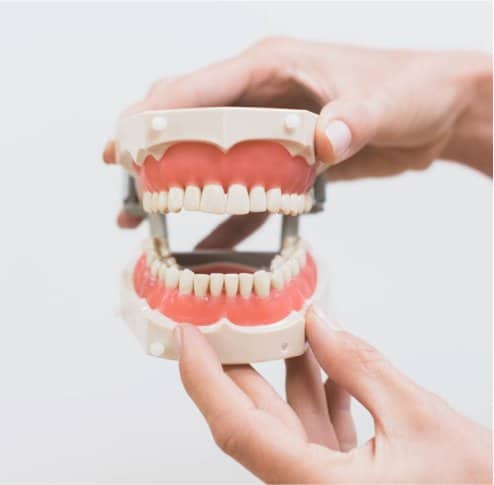 a full set of dentures held in hands